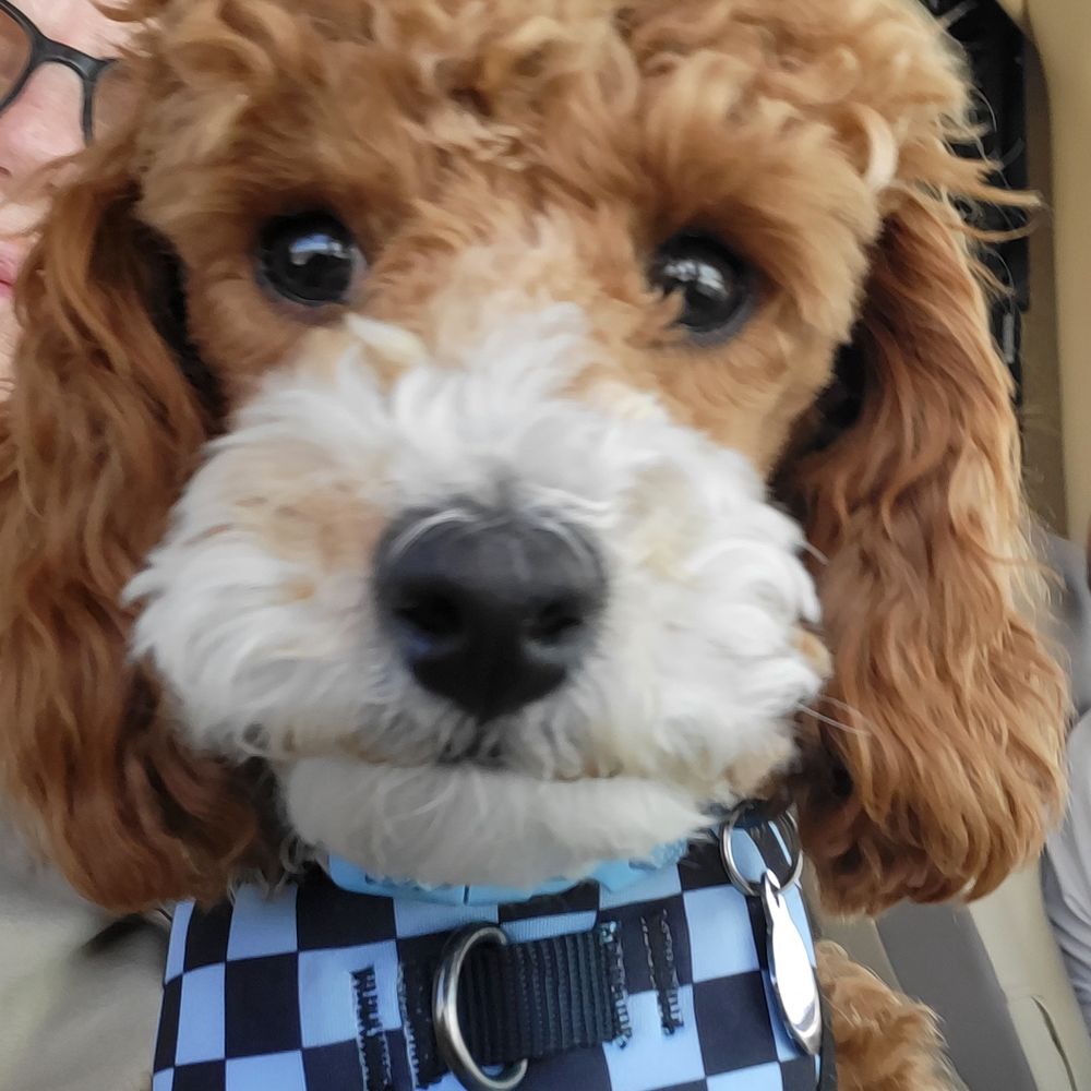 jvoorn.bsky.social profile picture