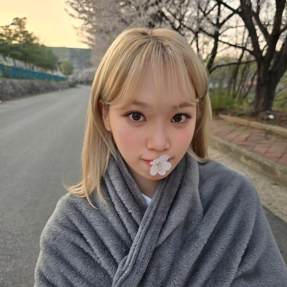 쪼율쌈