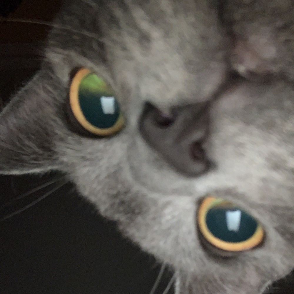 Mela