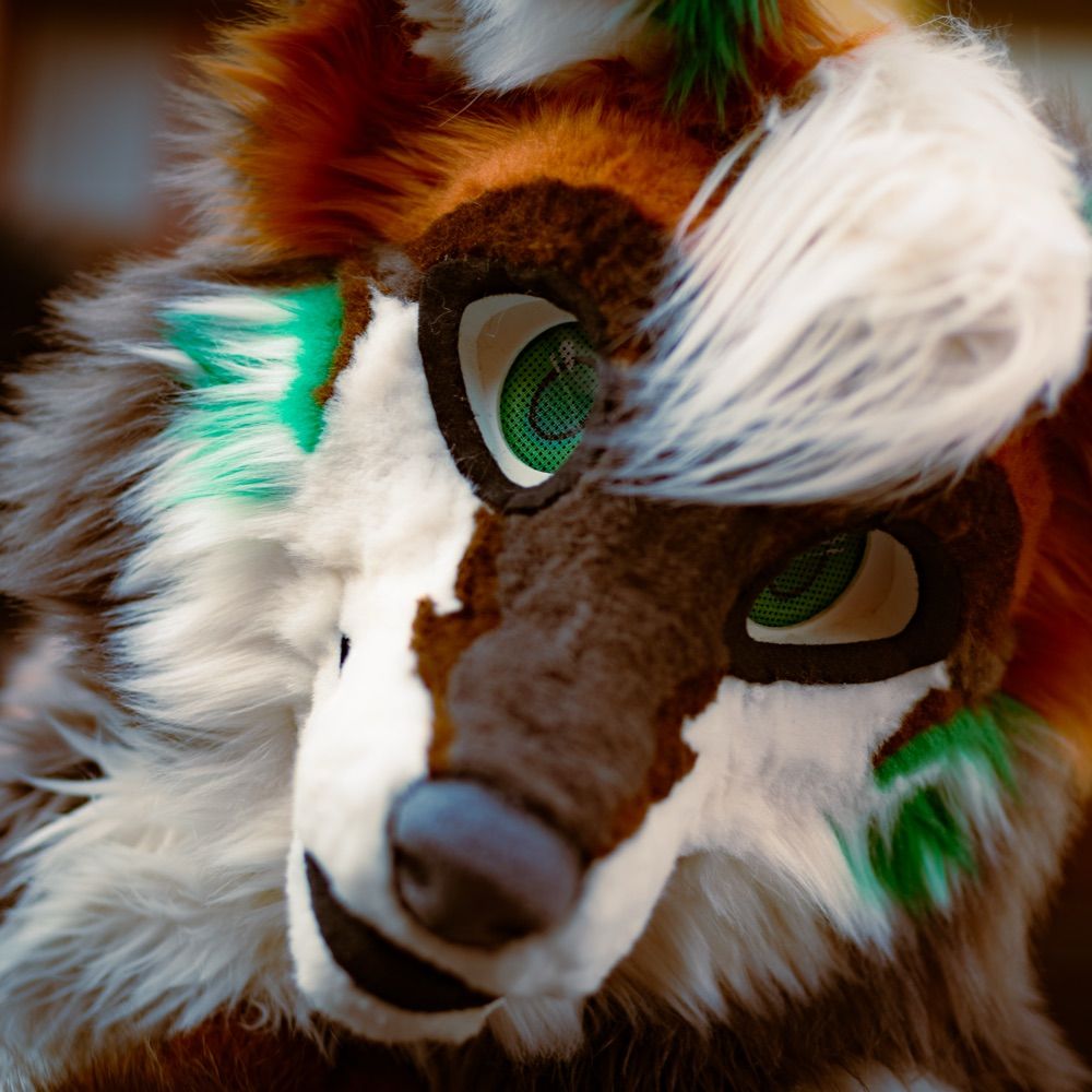 Draxx 🔜 CfZ
