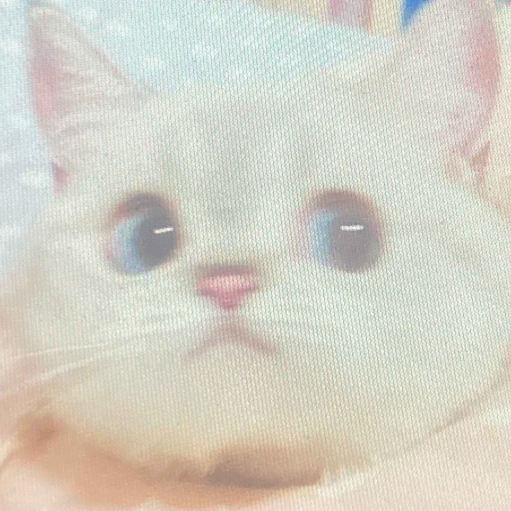 tibslc