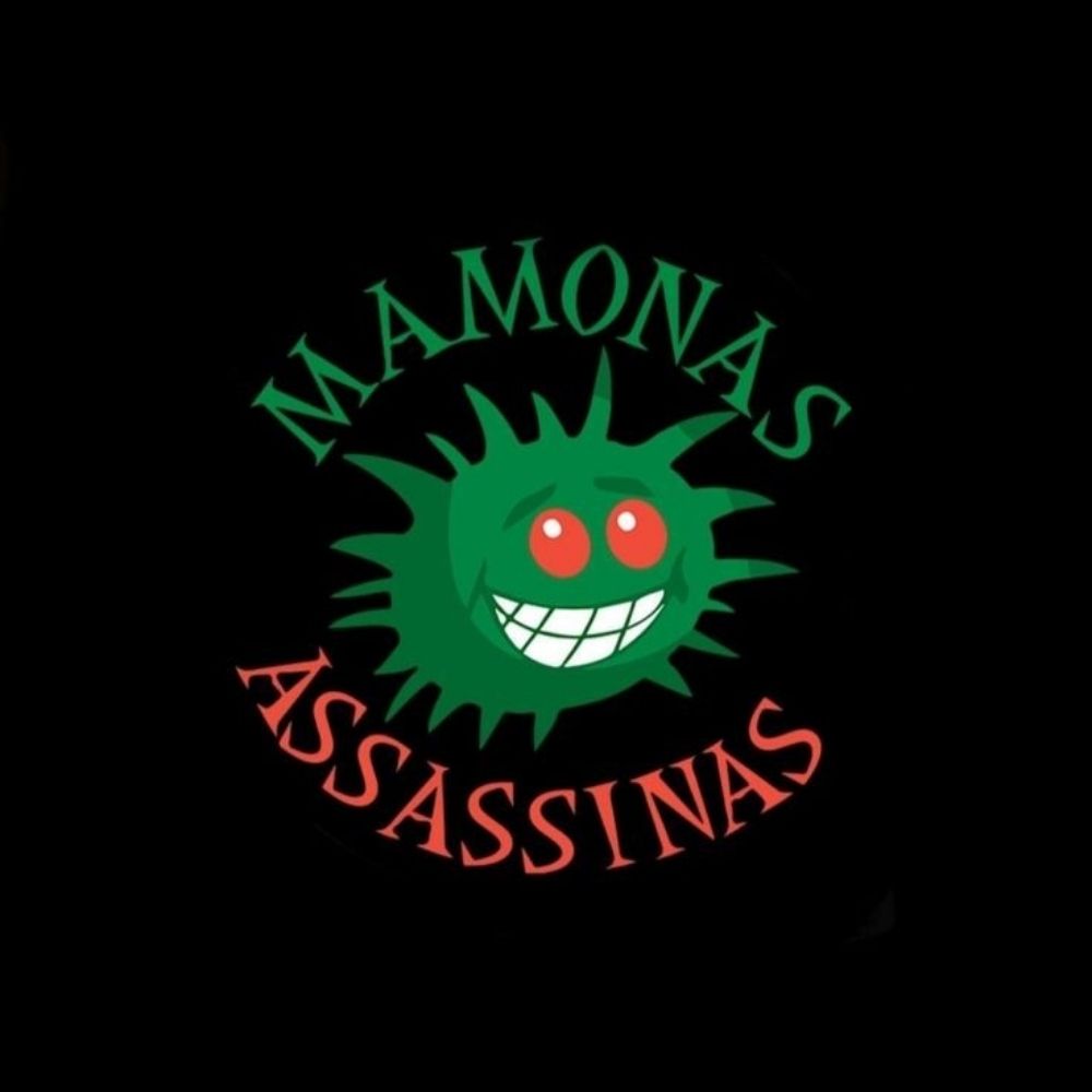 Mamonas Assassinas