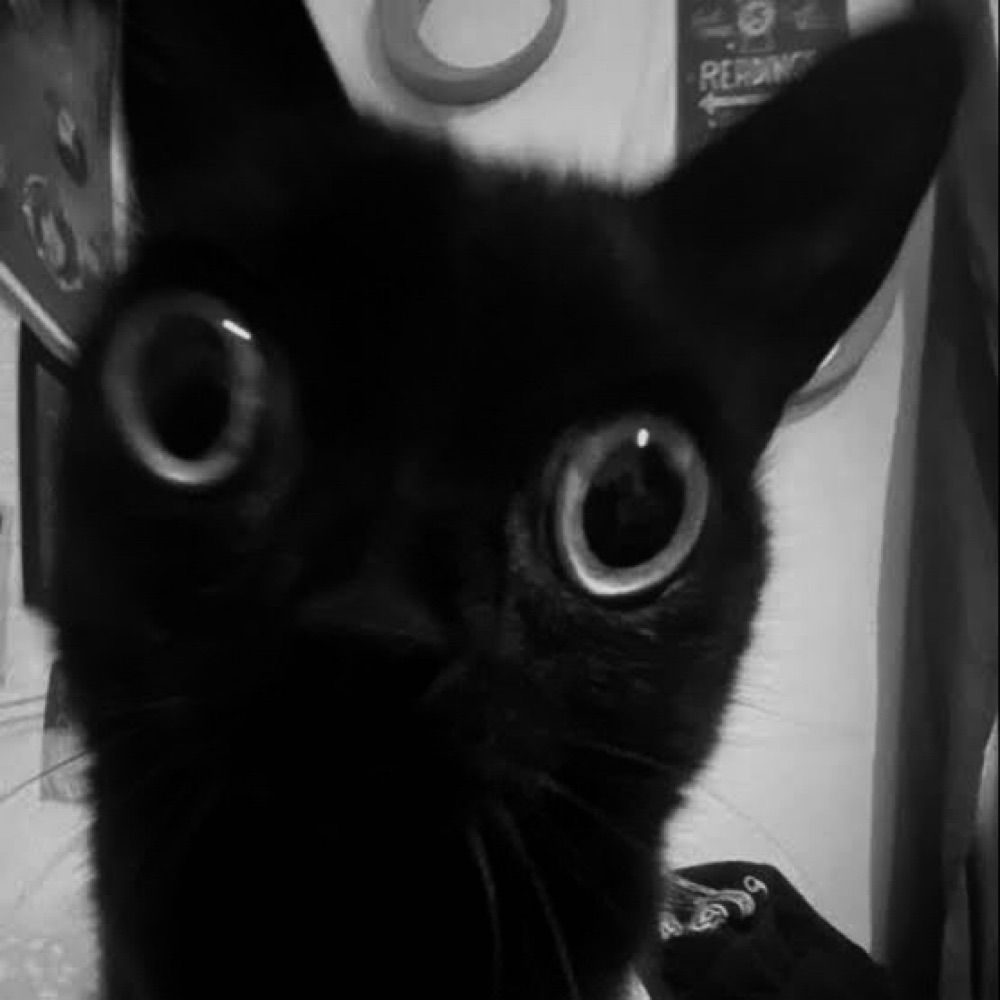 gio ☾ ⋆*･ﾟ:⋆