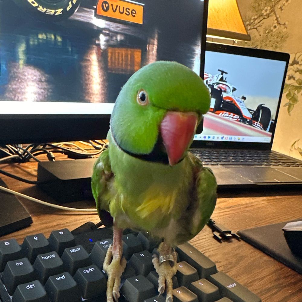 User avatar
