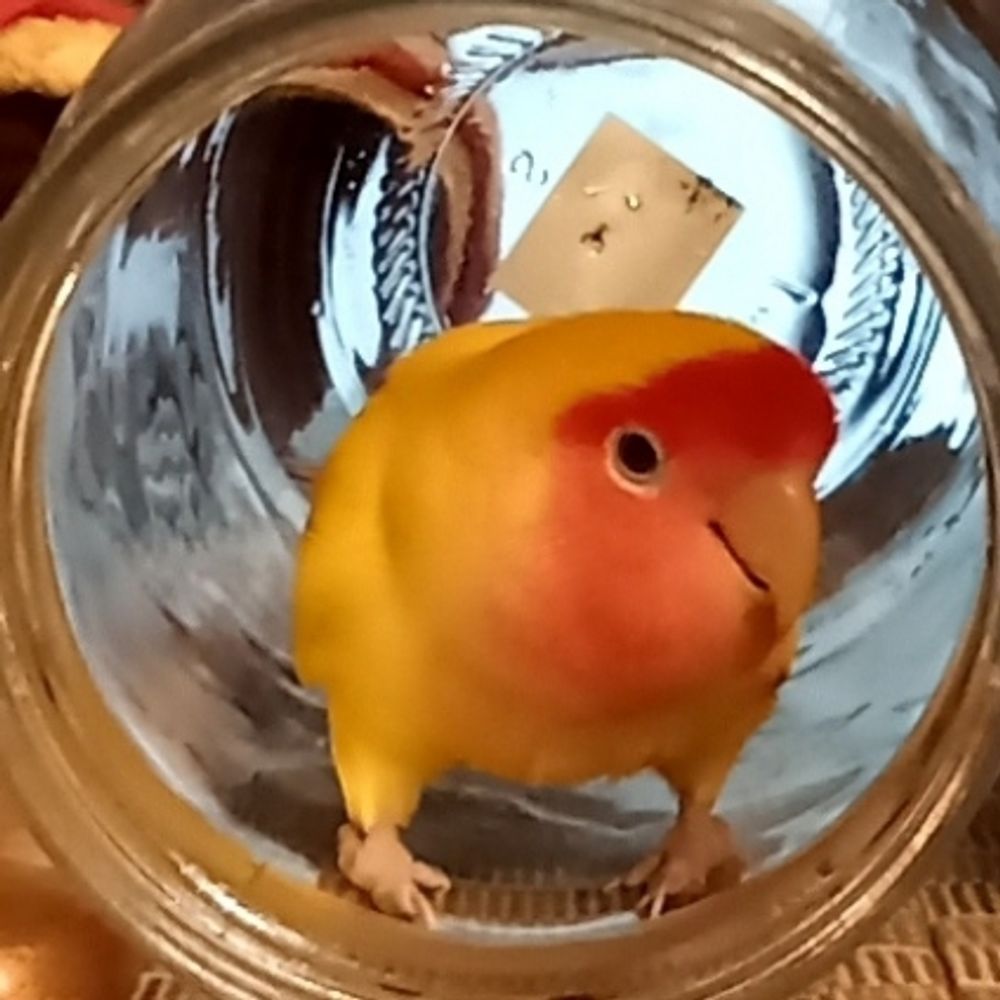 サカ