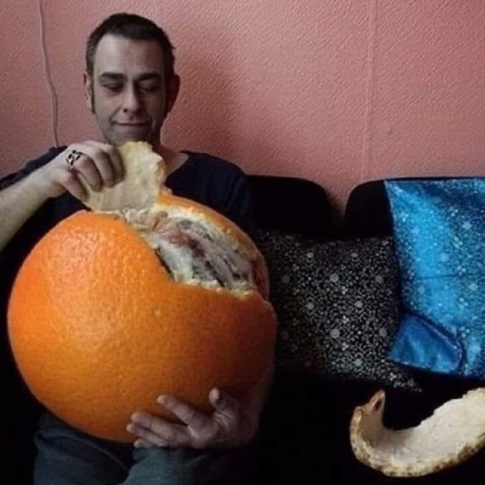 푸짐한응가