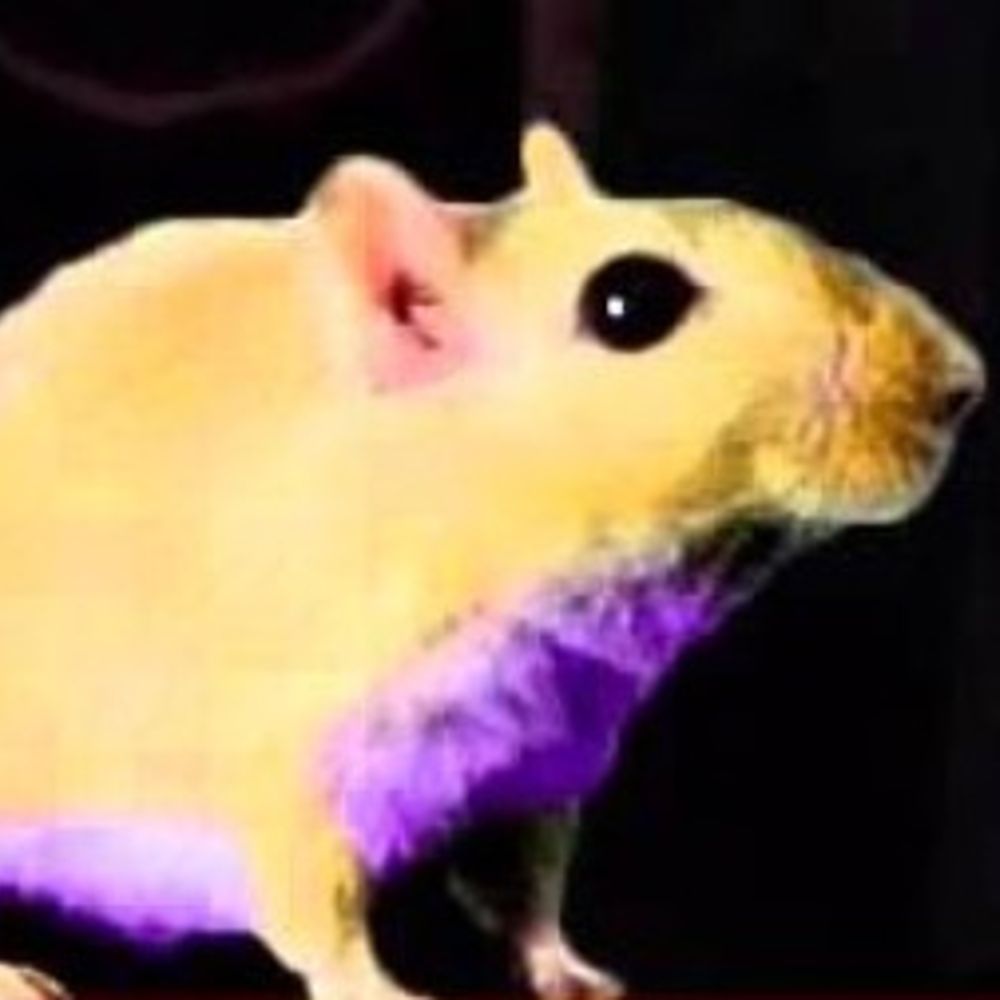 The Belly-Purpled Gerbil's avatar