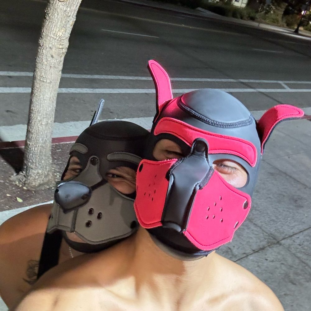Puppy Damien