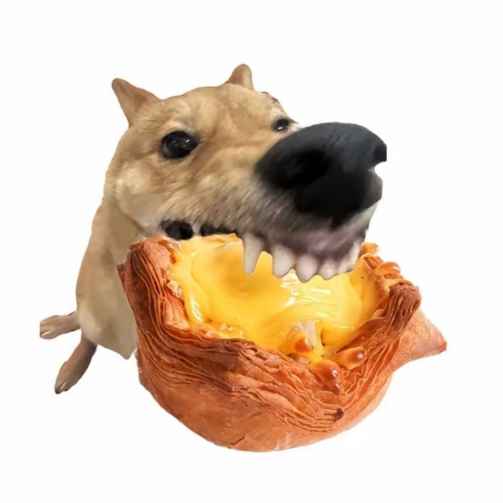 FF鹅鹅