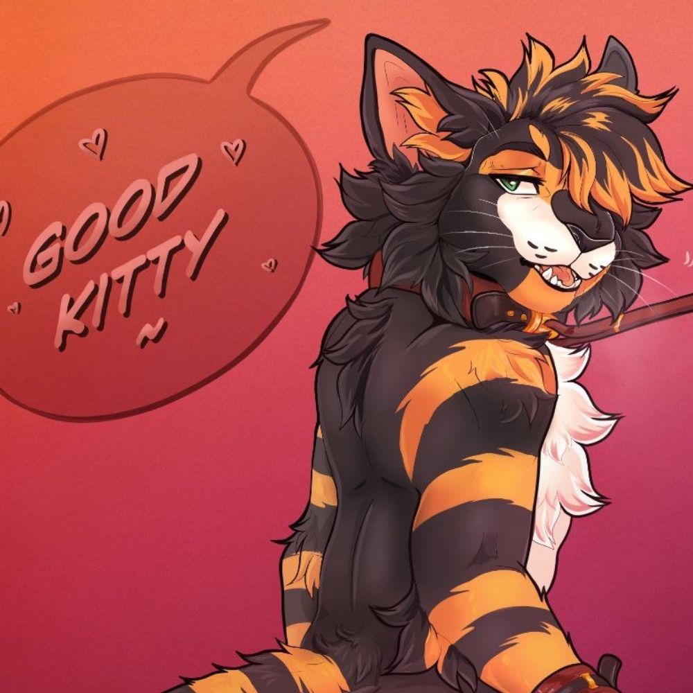~ Good Kitty ~