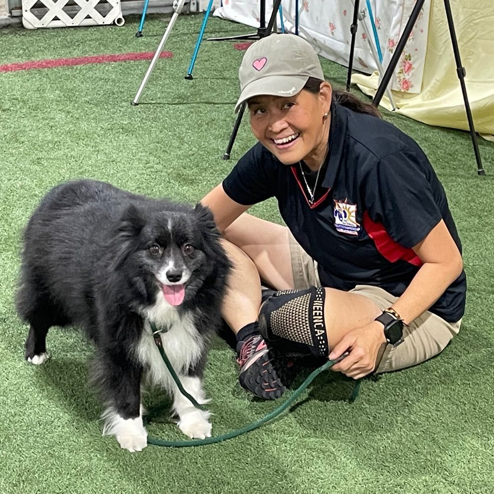 FunwithDogTraining