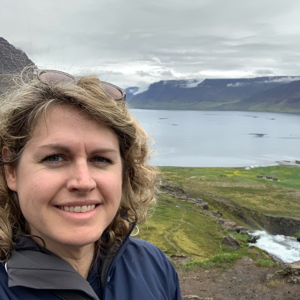 Renée E. Stalmeijer, PhD