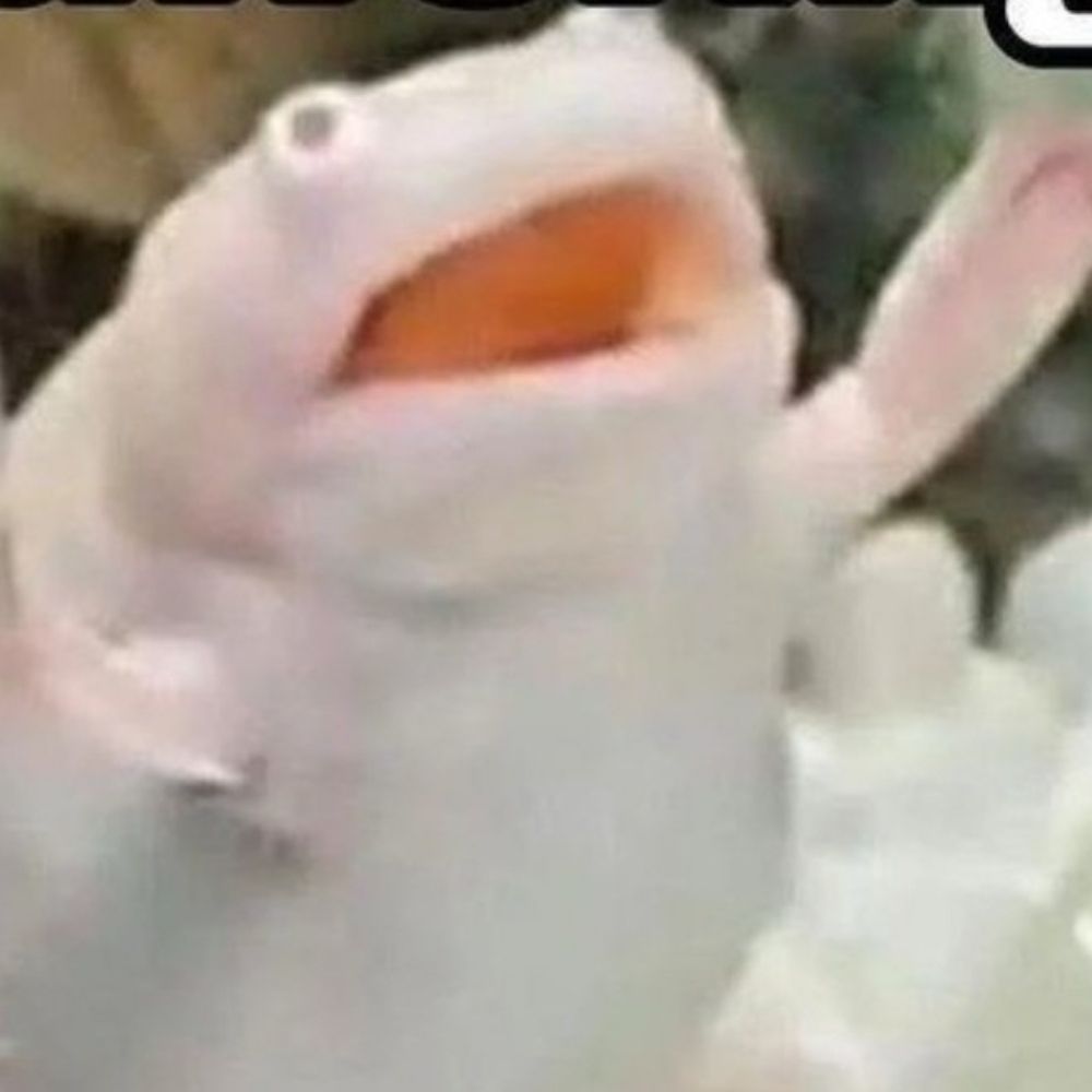 Sluttlefish