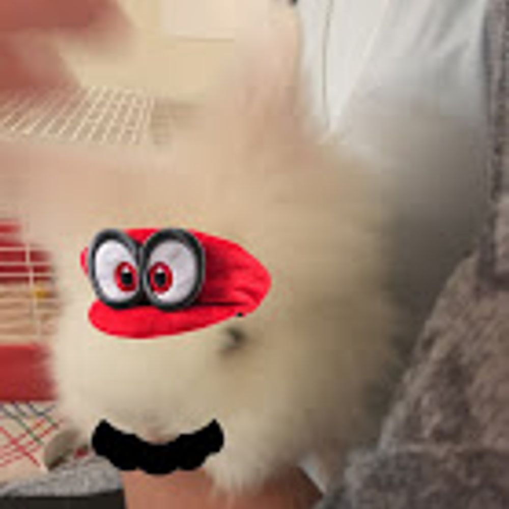 HelmetOfWil