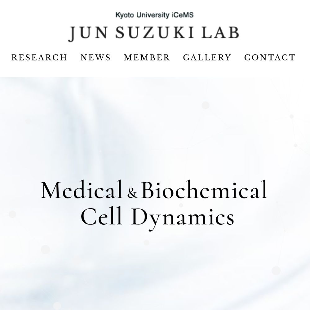 Suzuki Laboratory