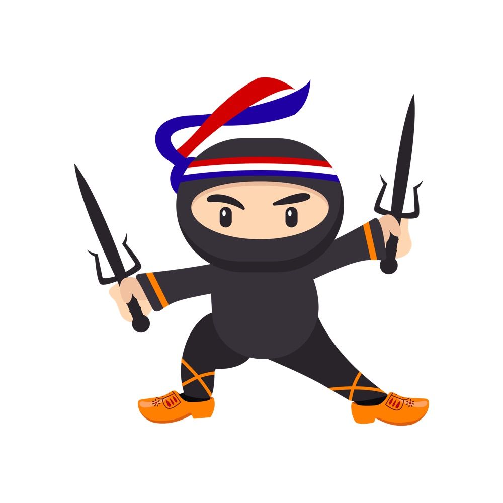 WP Ninjas User Group NL