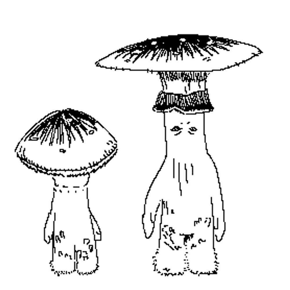 RiboNucleic Asshat