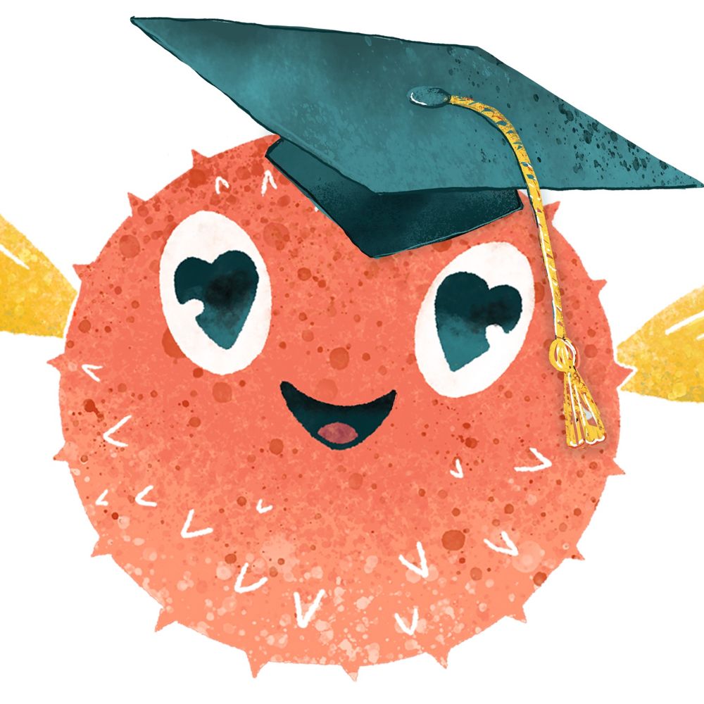 The Cuddlefish Academy