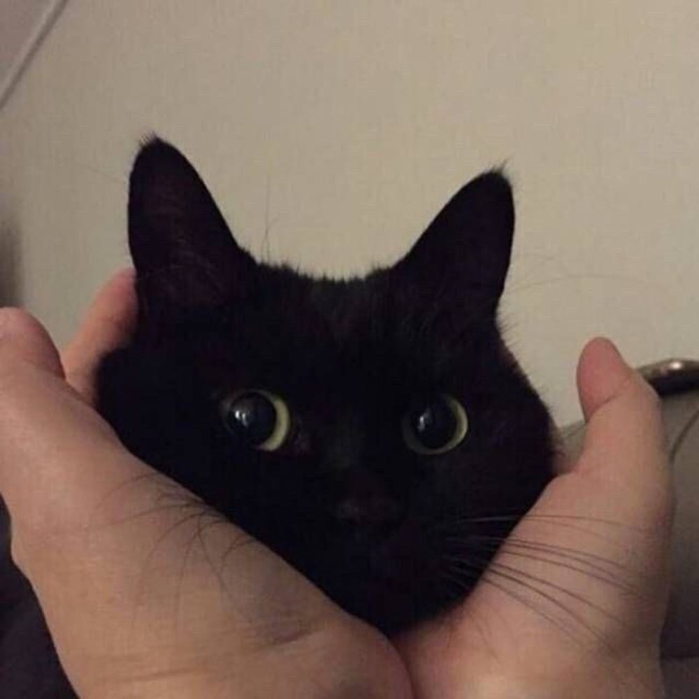 niki