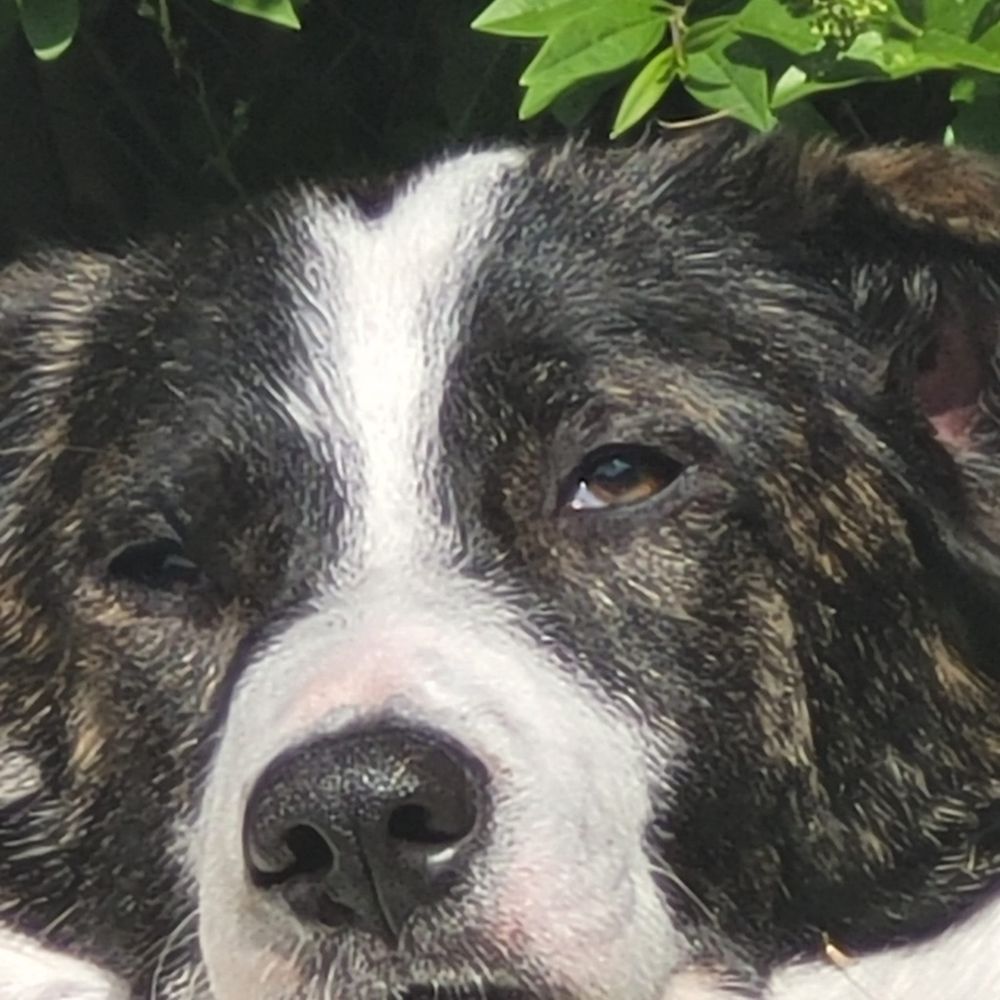 Luna wenn ich will höre ich darauf