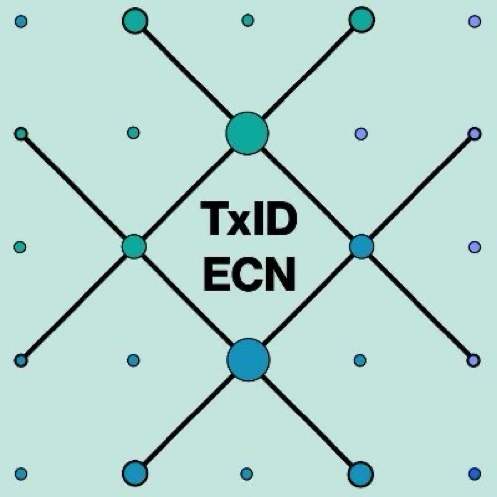 TxID Early Career Network