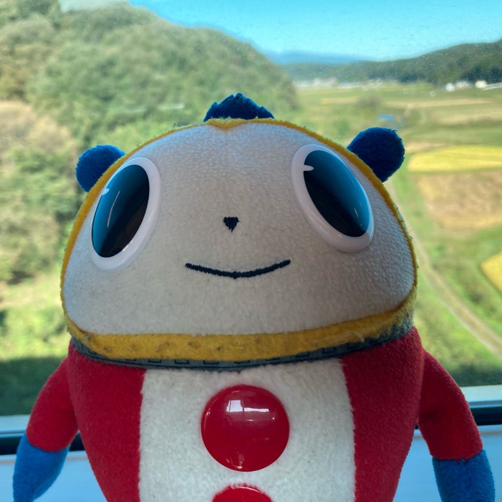 ふぃありぼん⭐️PIKA