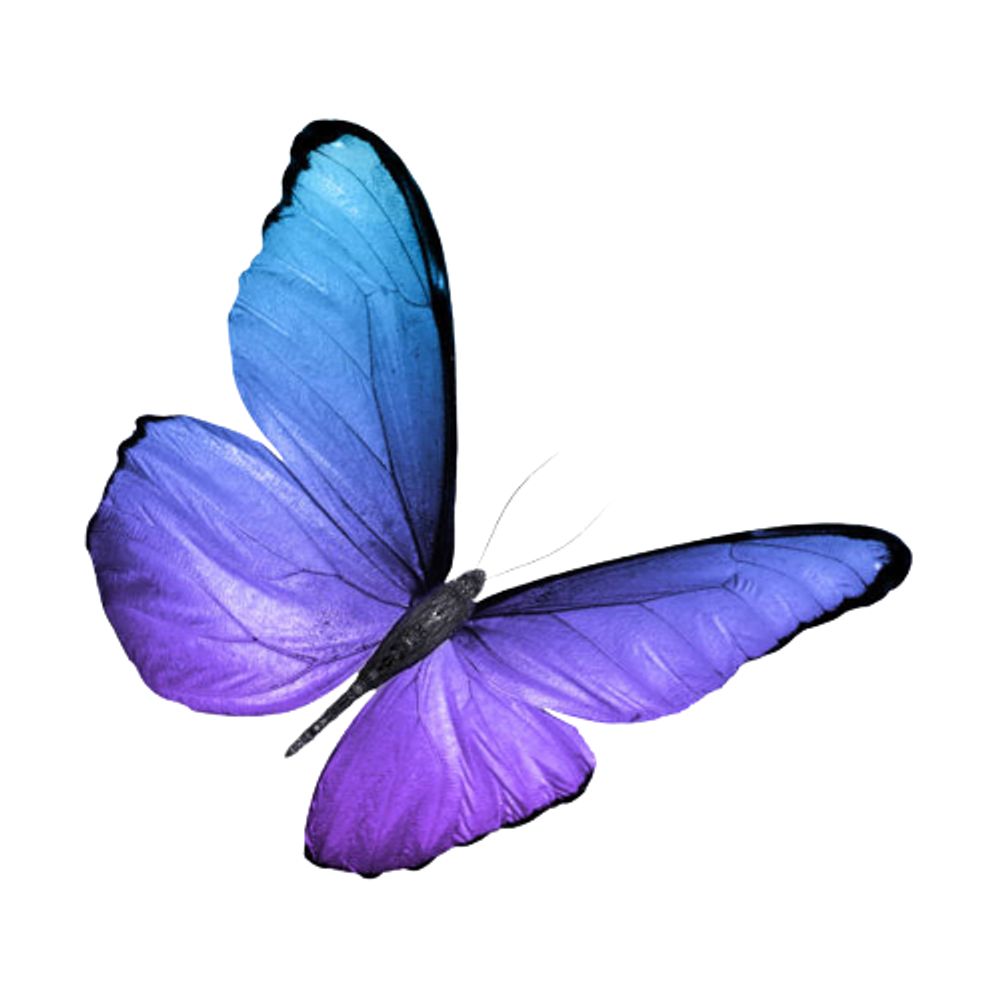 ΟΙ즈
