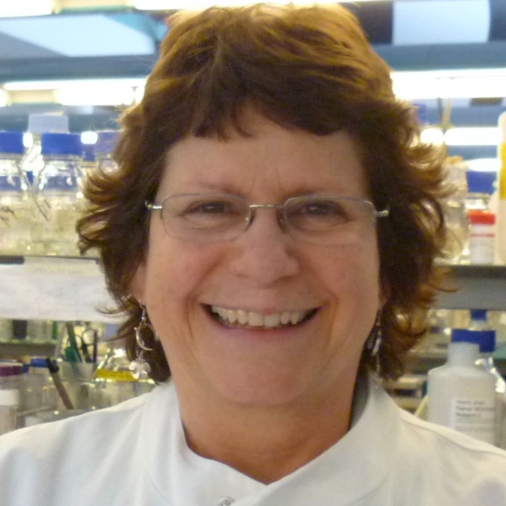 Denise Sheer