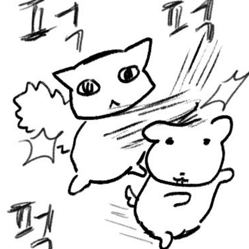 차홍