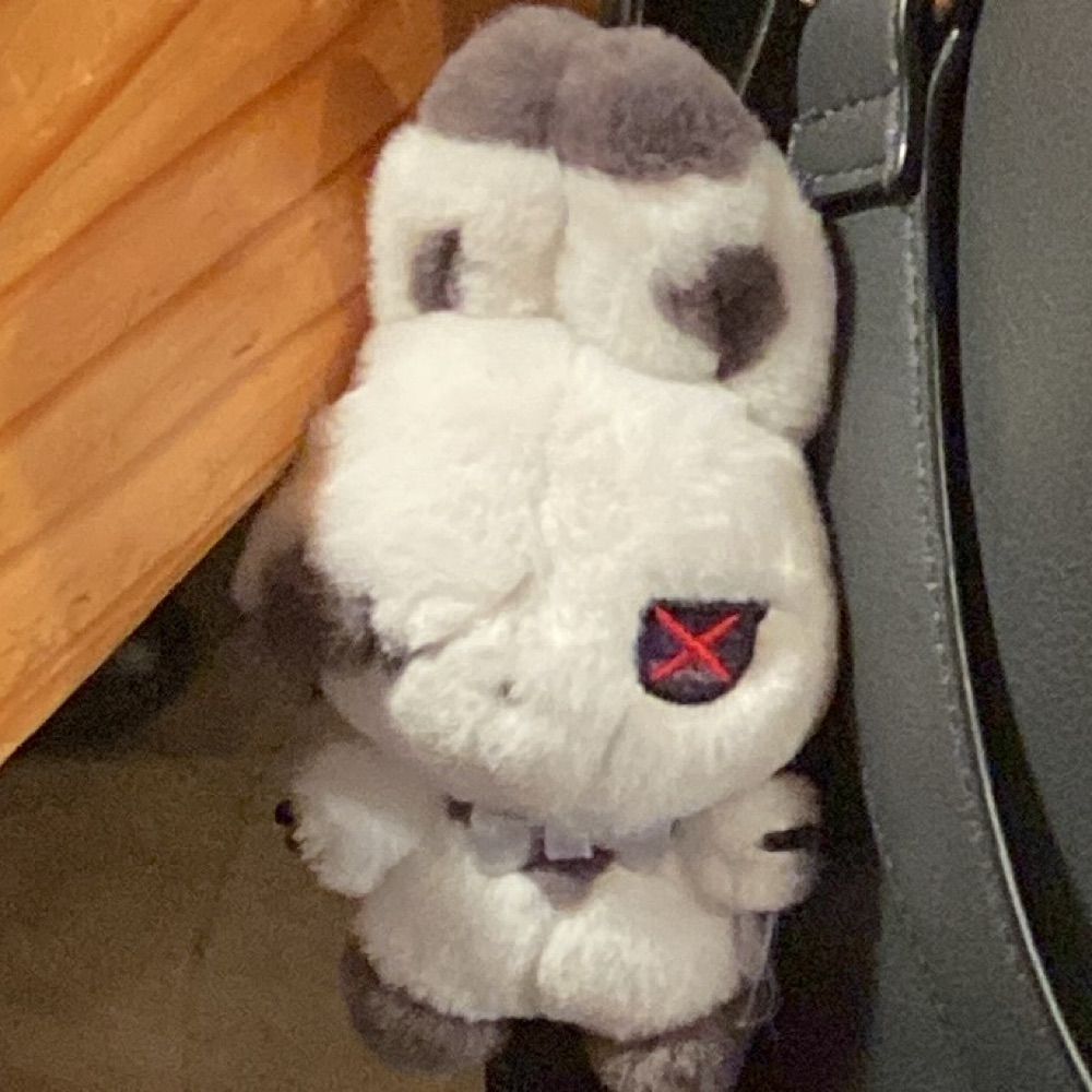さきの