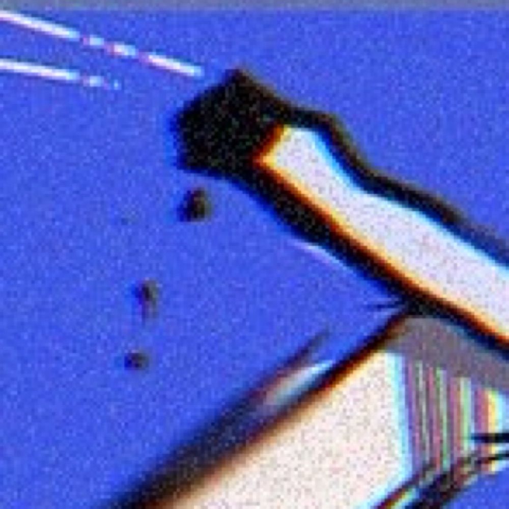 打ち身投げ