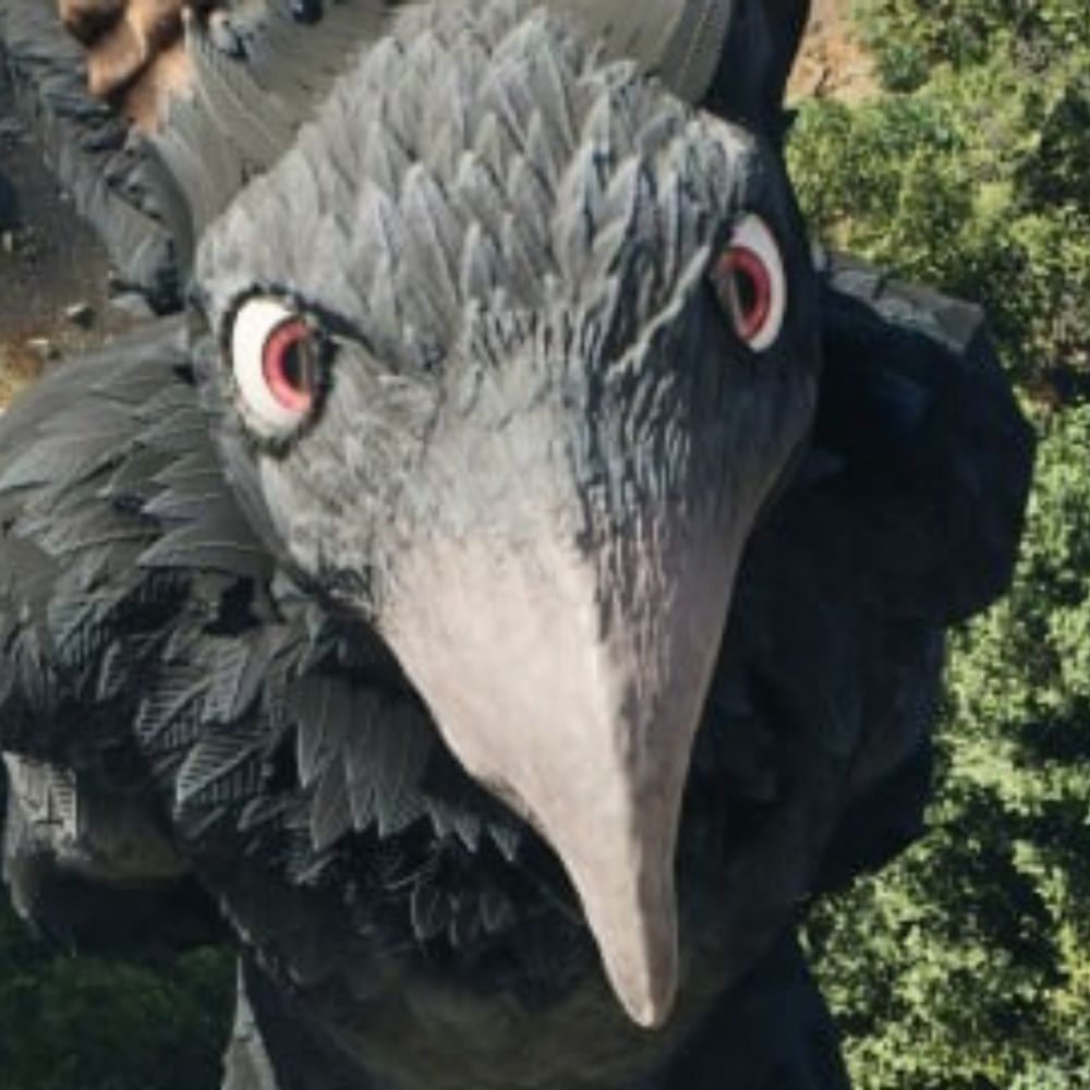 BleuRaven