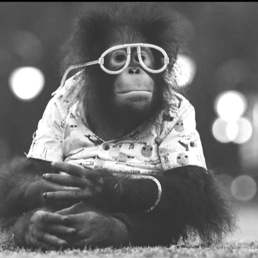 affe