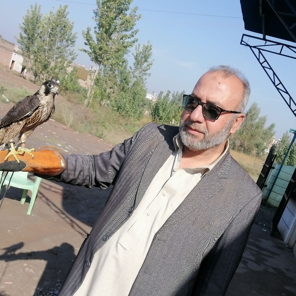 Niaz Ali