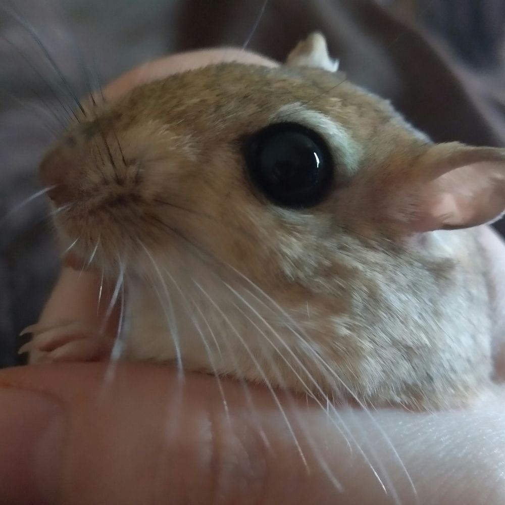 うなぎ
