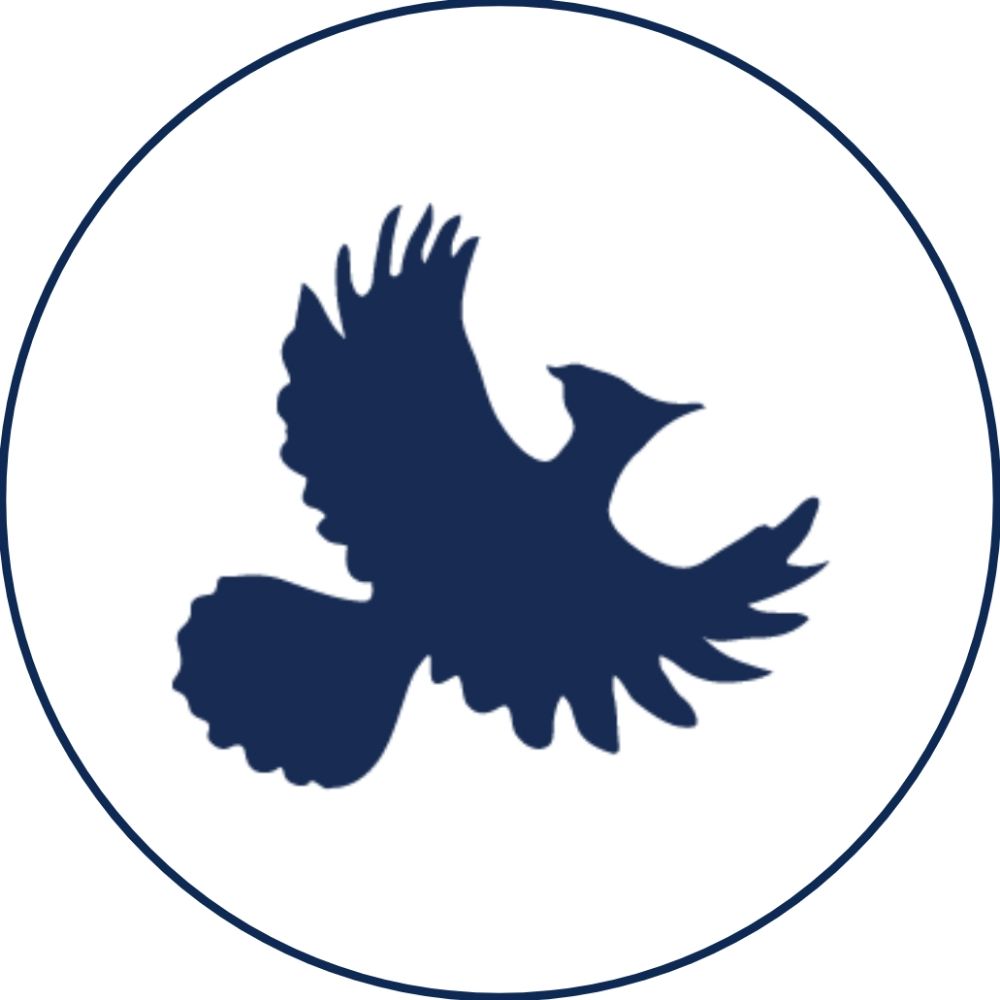 Rise Women's Legal Centre