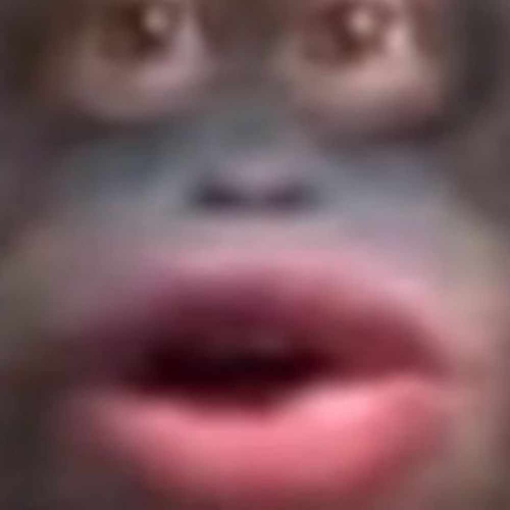 MKZeke