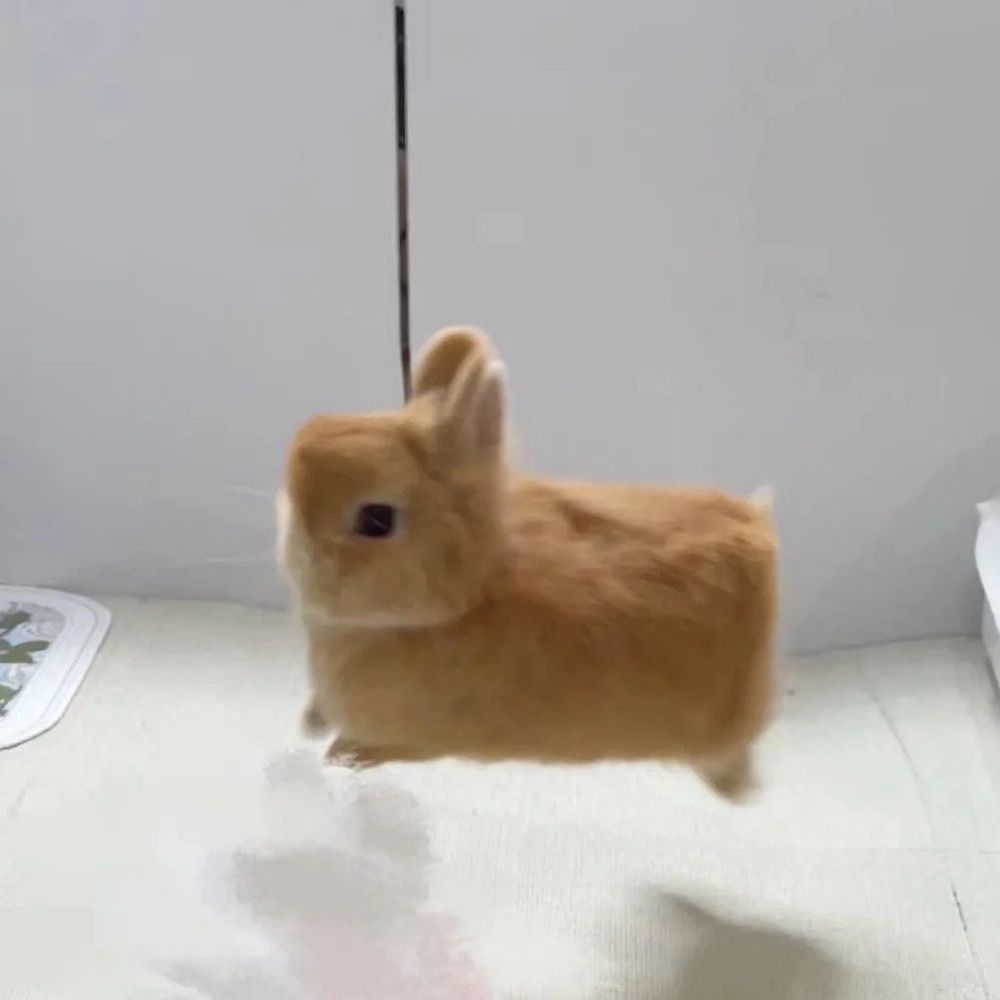 말랑몰랑
