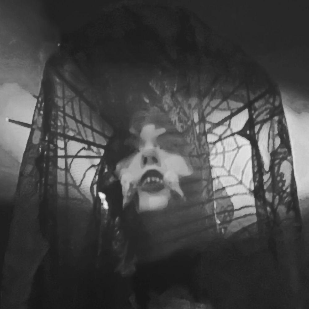 Vivien Virescu