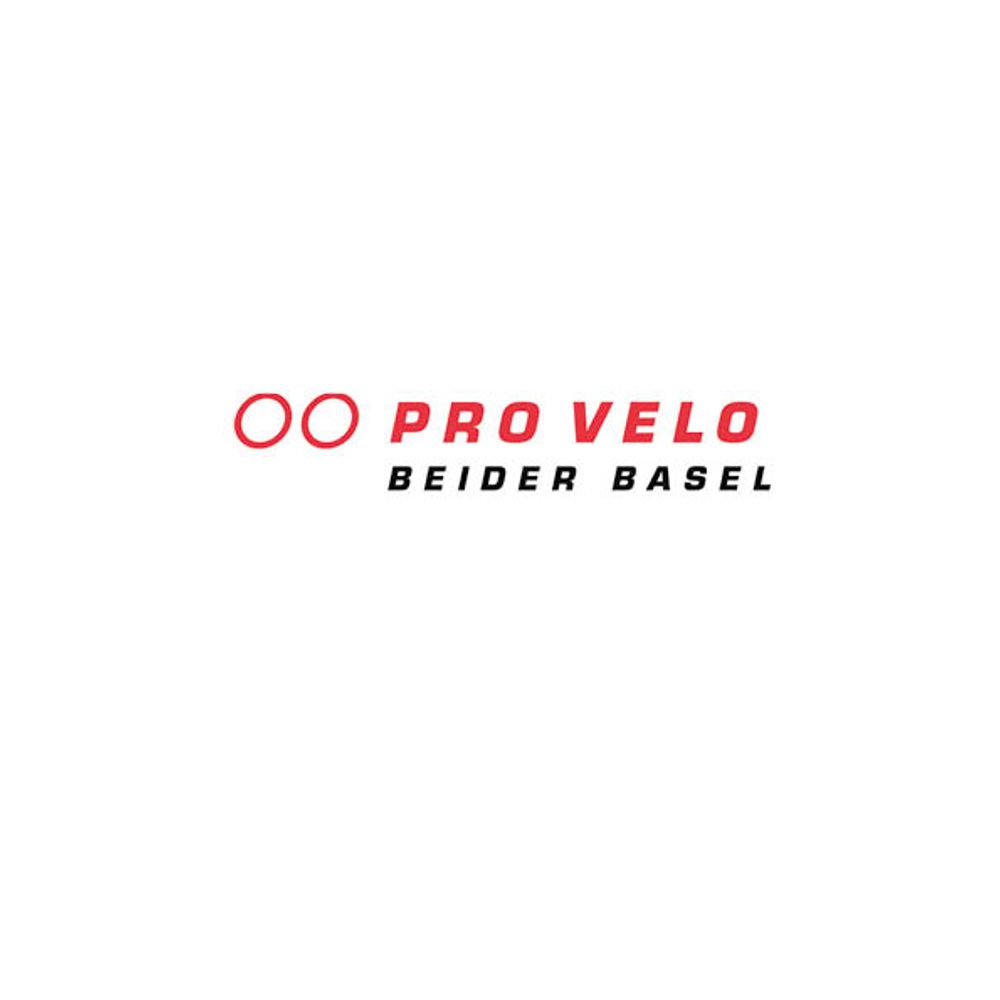 Pro Velo beider Basel
