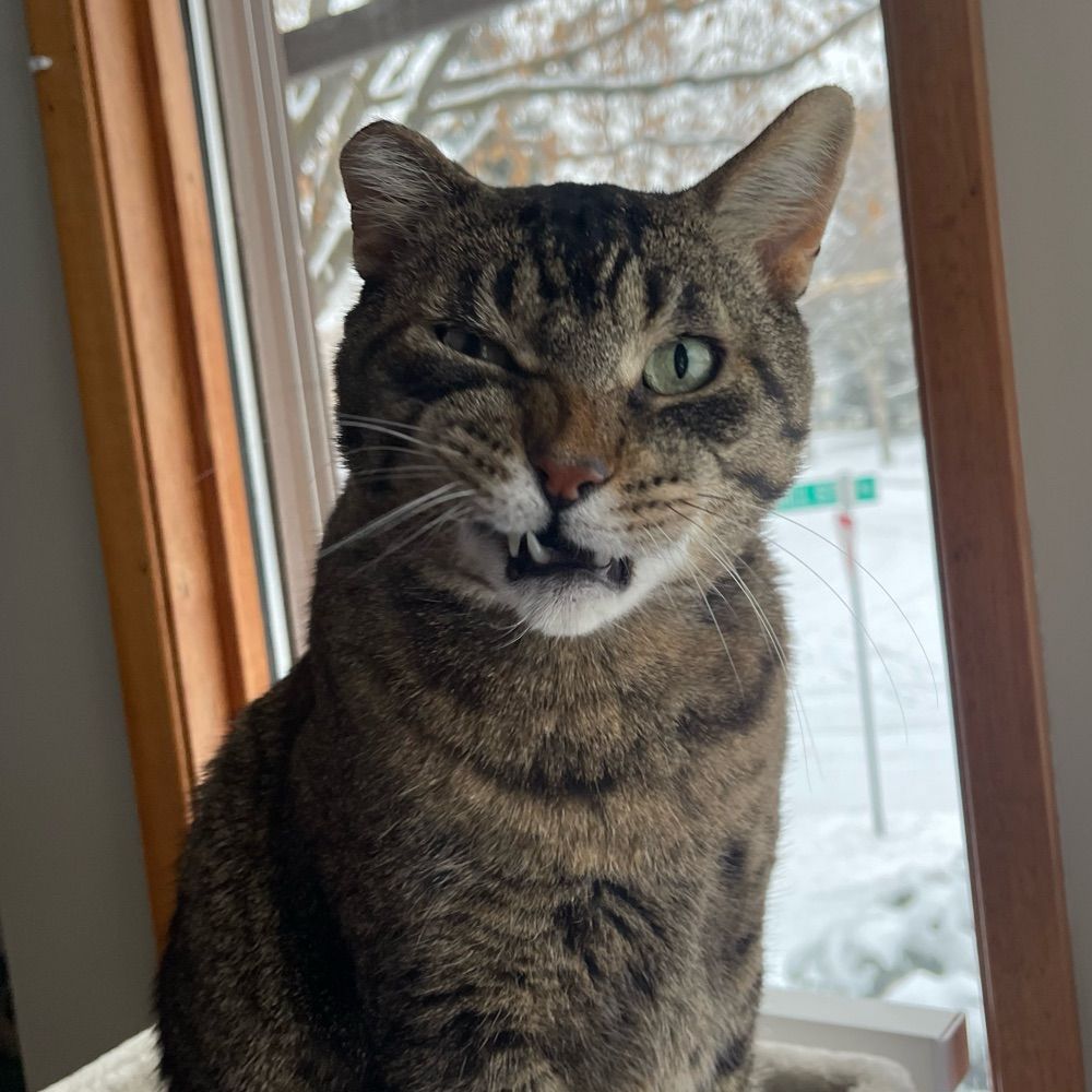 Mel