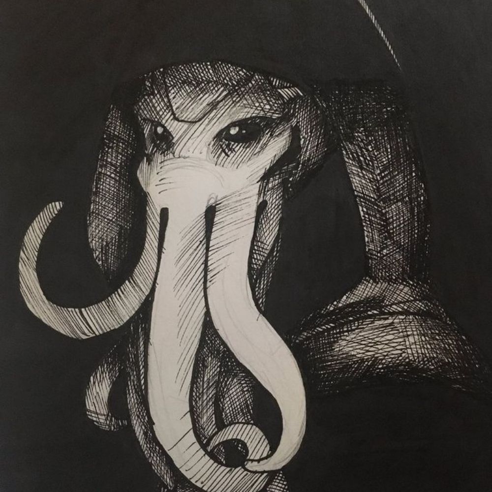 Squid