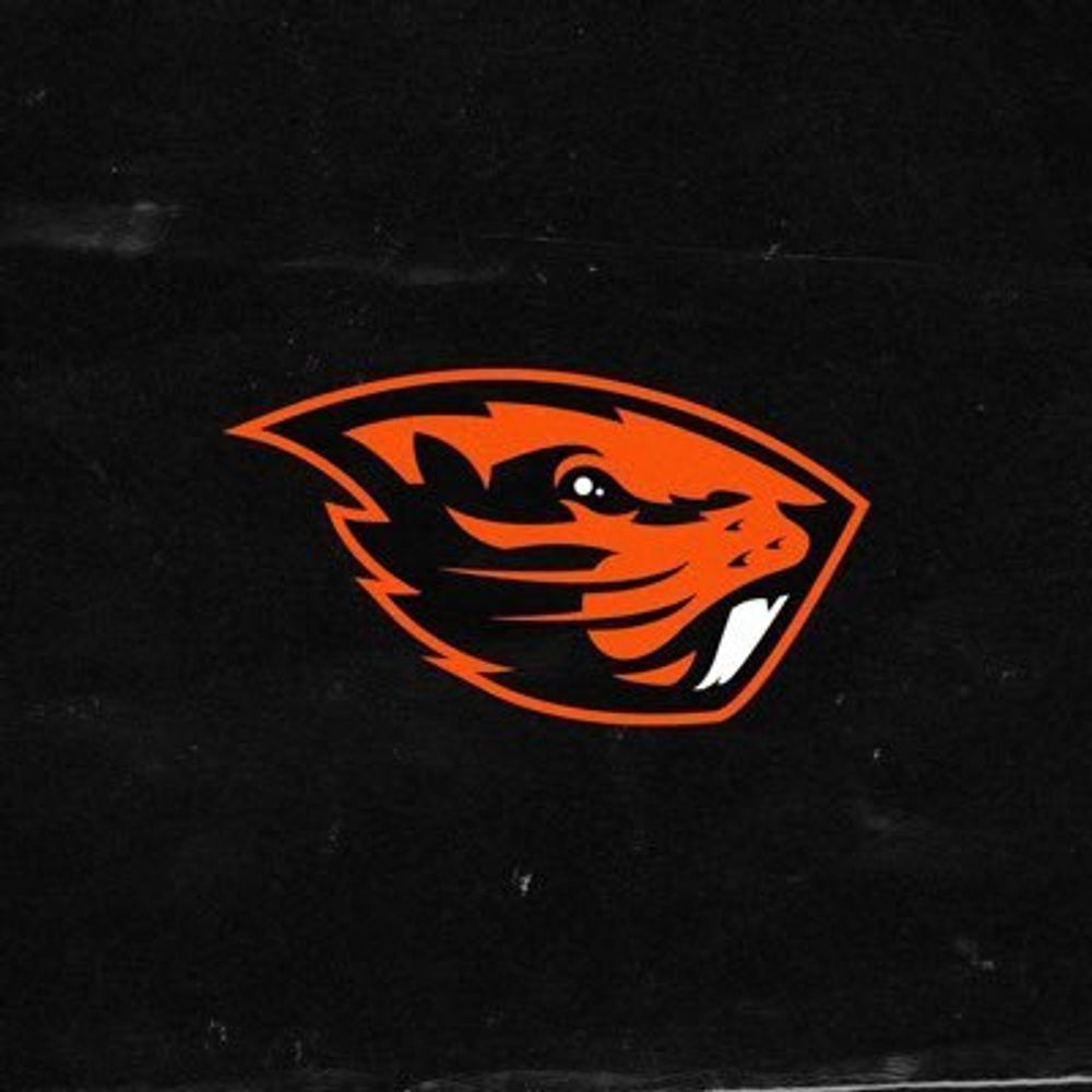Beaver Football Feeder
