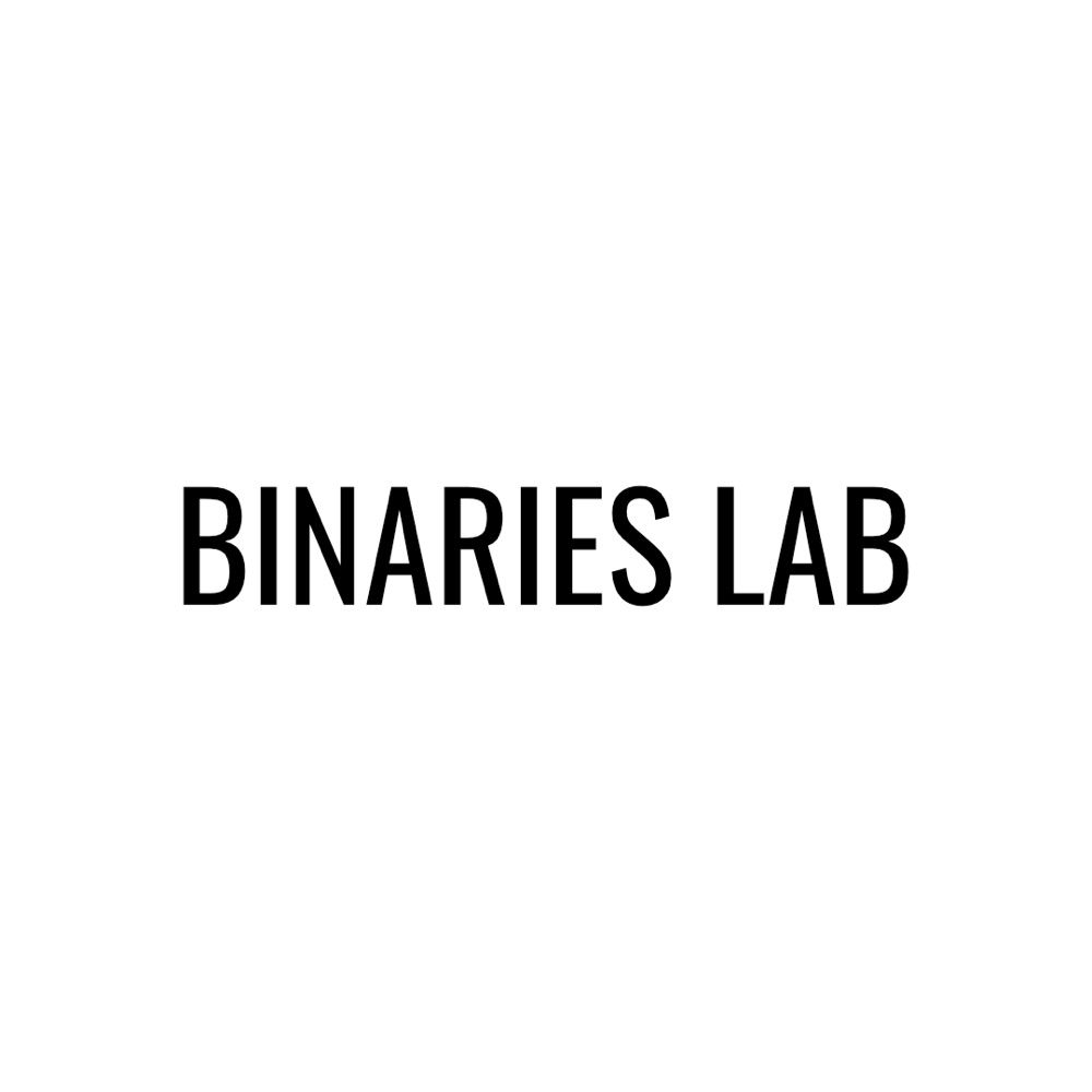 Binaries Lab