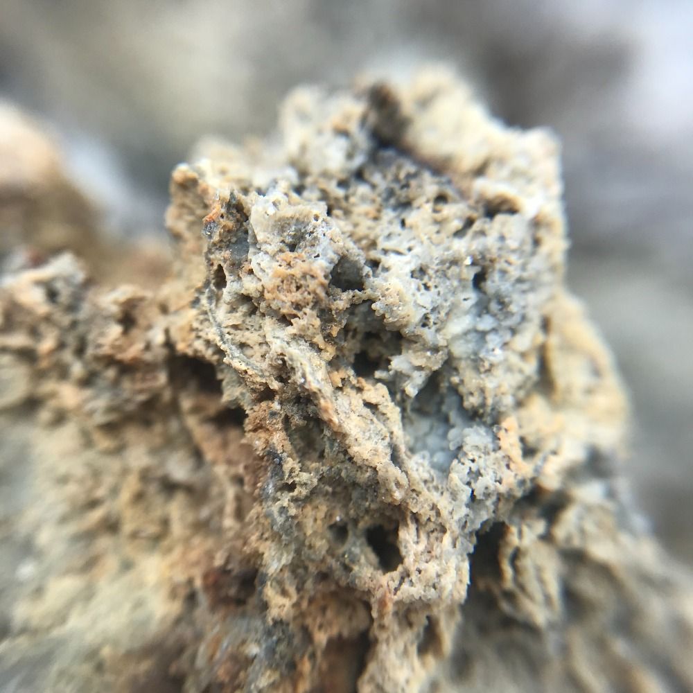 CU Boulder Geobiology