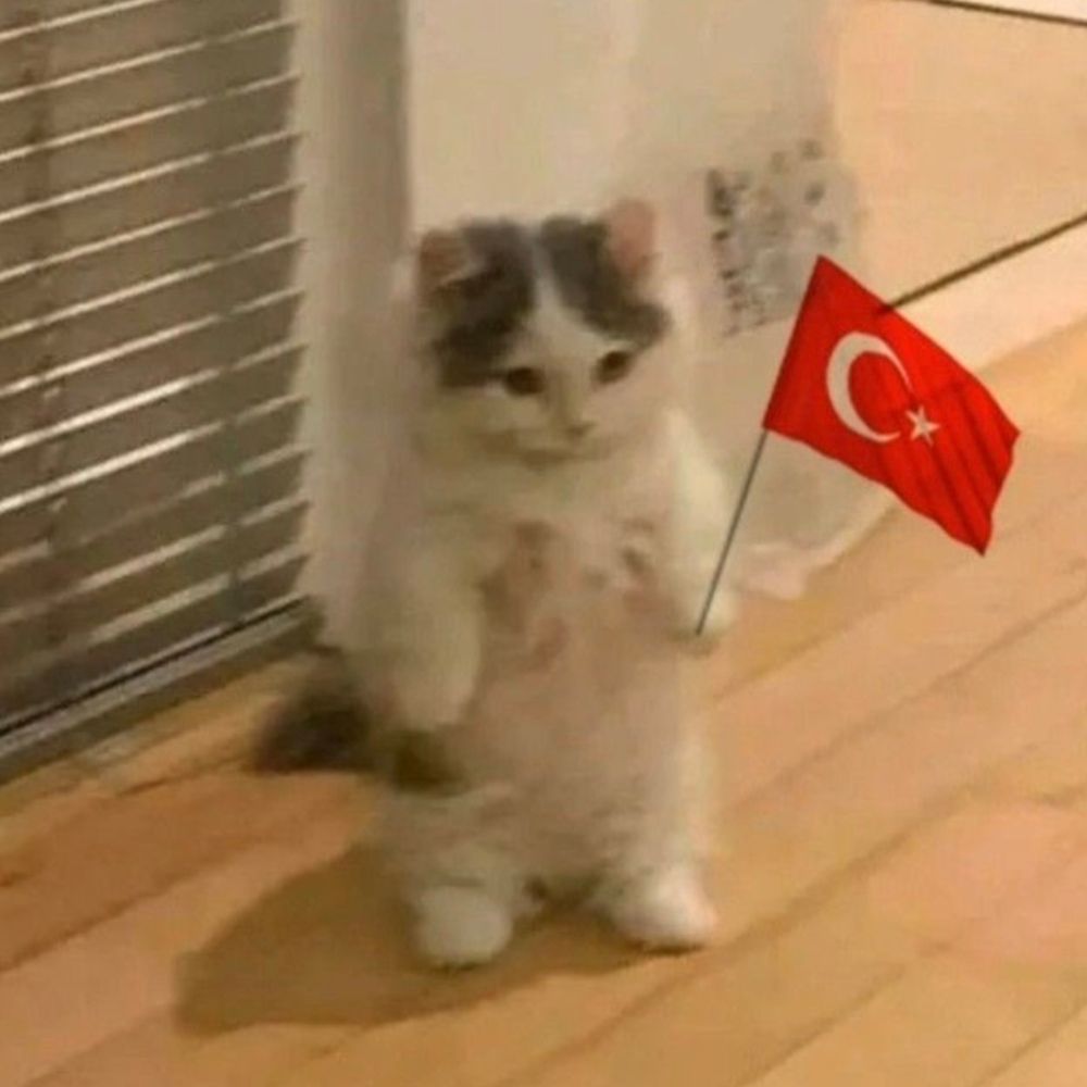Ardaa