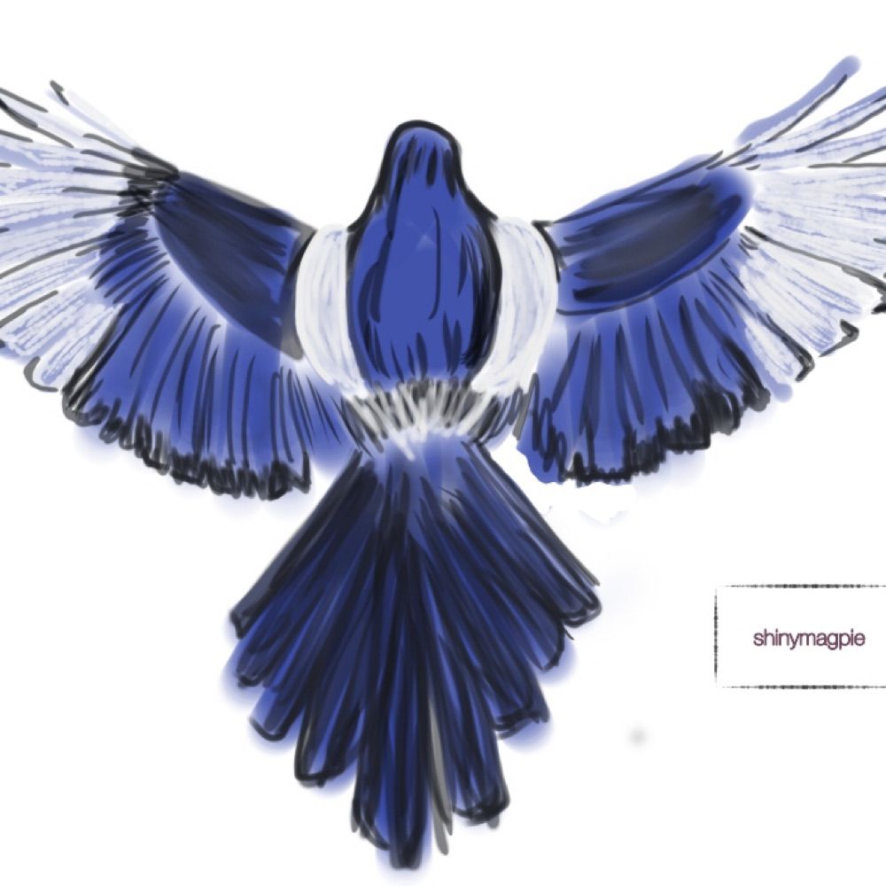 Magpie / open commissions