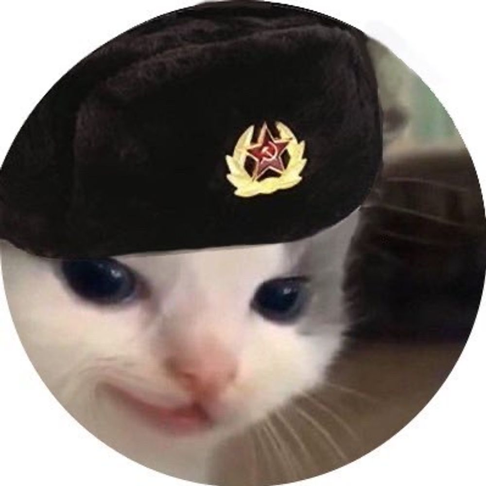 Cat Bastard Quinn