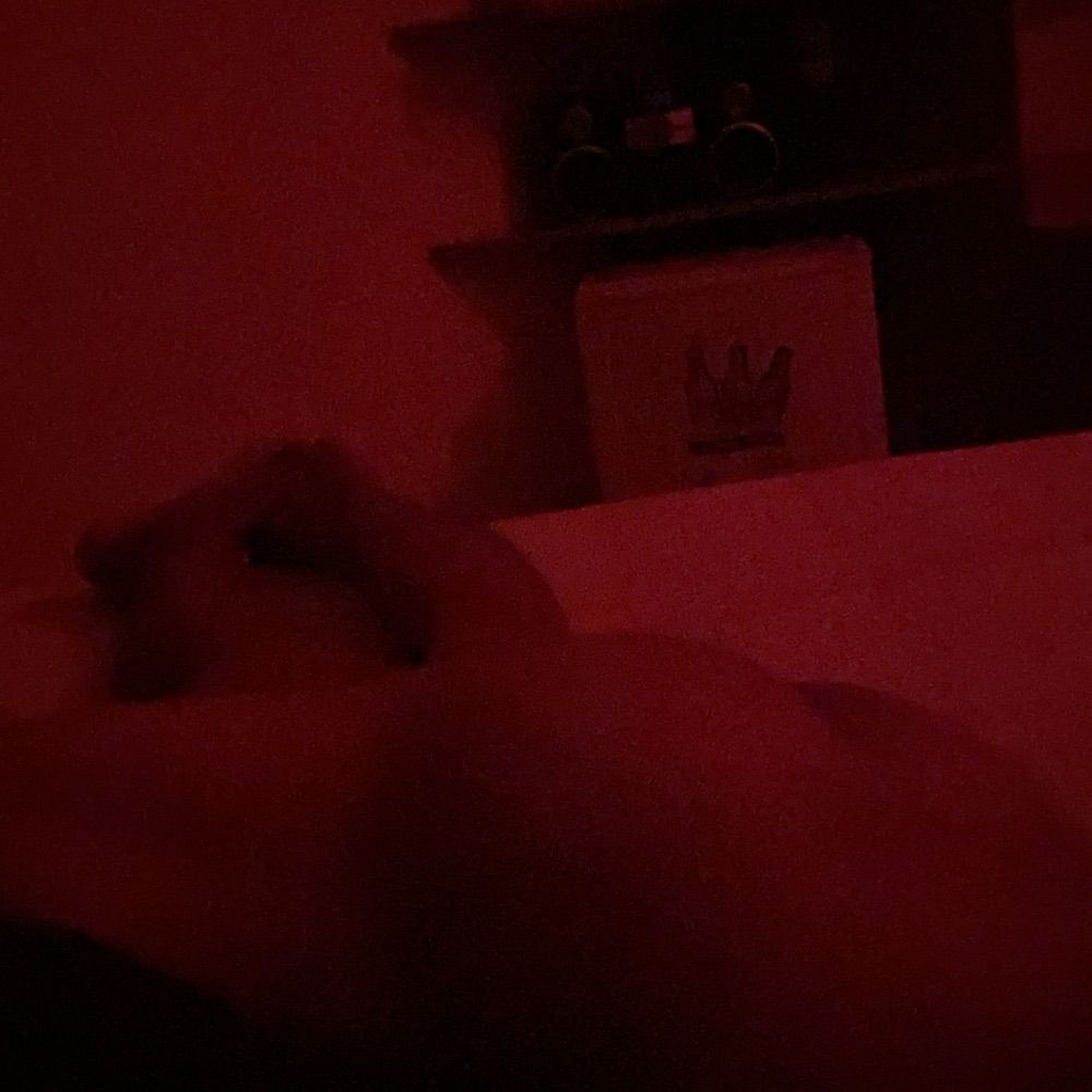 Puto Safado AM 🔞