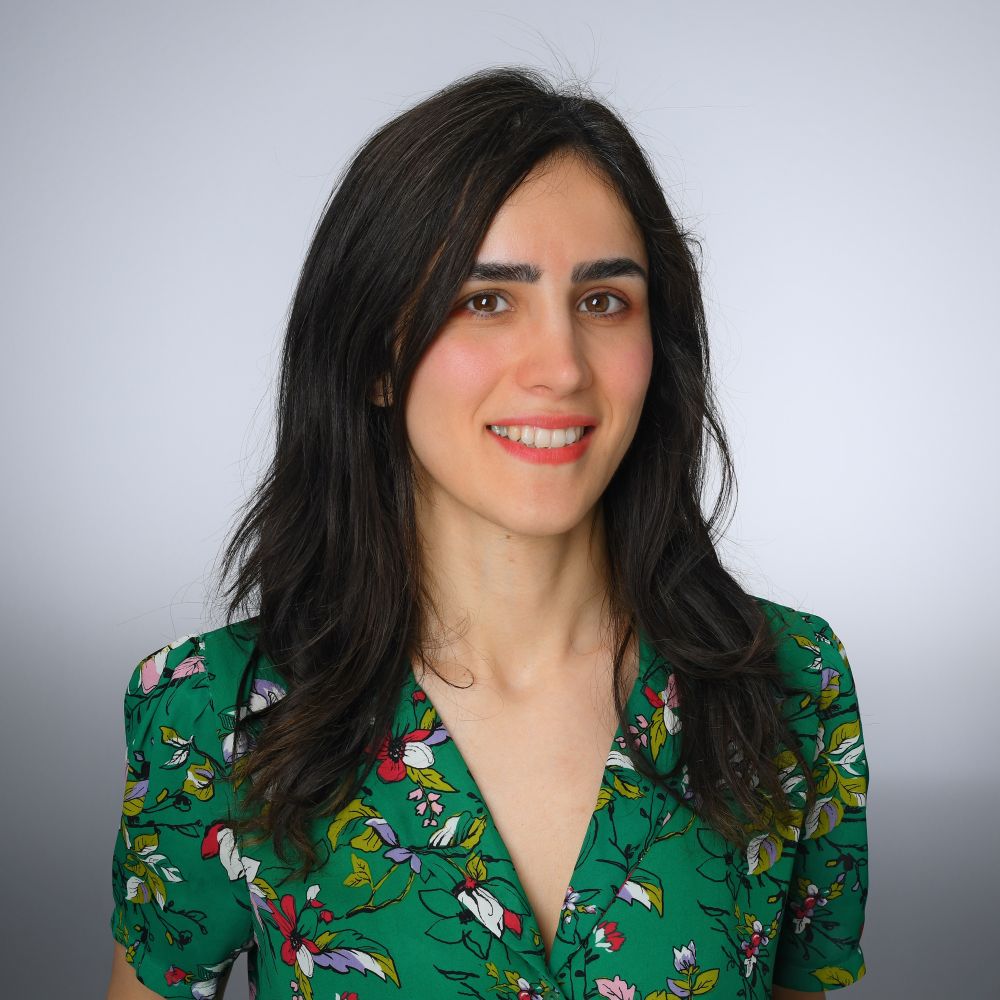 Sarah Dashtaki-Hesari